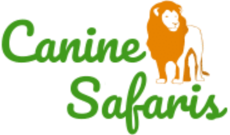 Canine Safaris